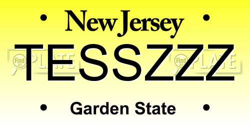 TESSZZZ New Jersey License Plate