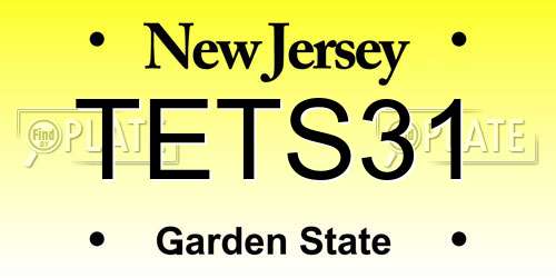 TETS31 New Jersey License Plate