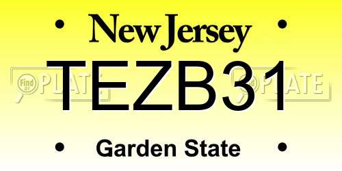 TEZB31 New Jersey License Plate