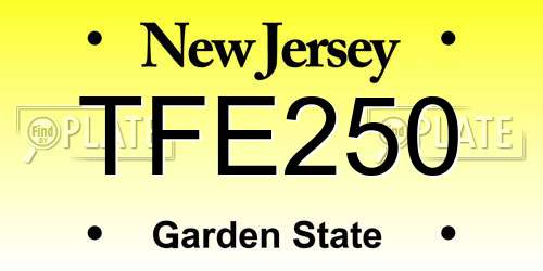 TFE250 New Jersey License Plate
