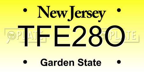 TFE28O New Jersey License Plate
