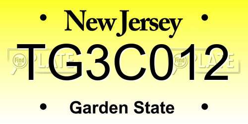 TG3C012 New Jersey License Plate