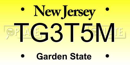 TG3T5M New Jersey License Plate