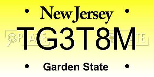 TG3T8M New Jersey License Plate
