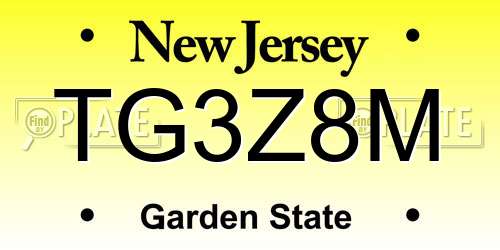 TG3Z8M New Jersey License Plate
