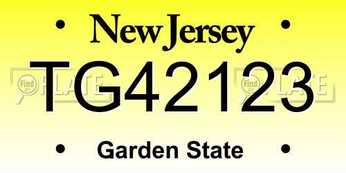 TG42123 New Jersey License Plate