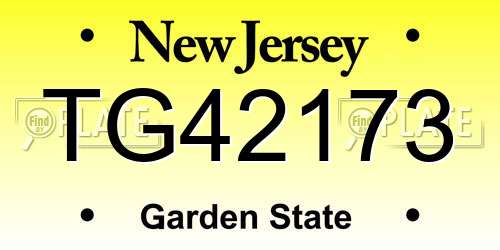 TG42173 New Jersey License Plate