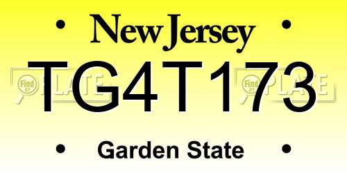 TG4T173 New Jersey License Plate