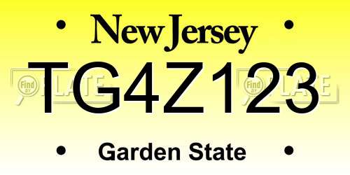 TG4Z123 New Jersey License Plate