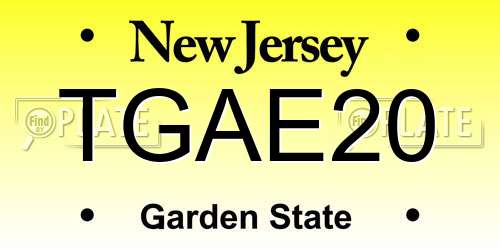 TGAE20 New Jersey License Plate