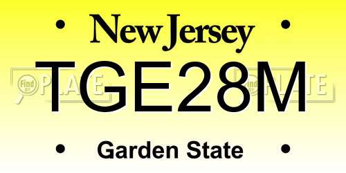 TGE28M New Jersey License Plate