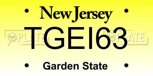 TGEI63 New Jersey License Plate