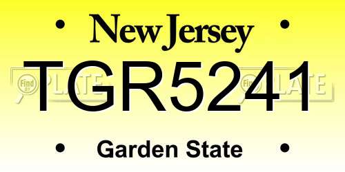 TGR5241 New Jersey License Plate
