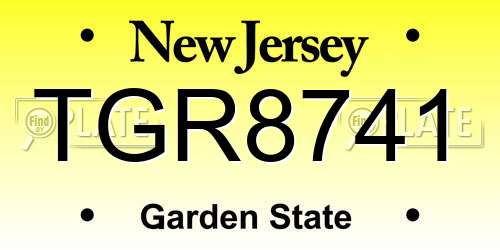 TGR8741 New Jersey License Plate