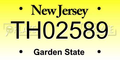 TH02589 New Jersey License Plate
