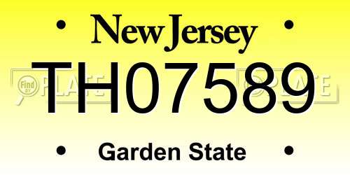 TH07589 New Jersey License Plate