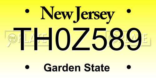 TH0Z589 New Jersey License Plate