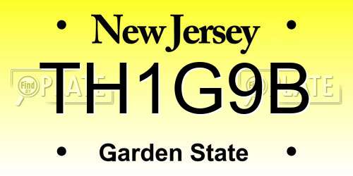TH1G9B New Jersey License Plate