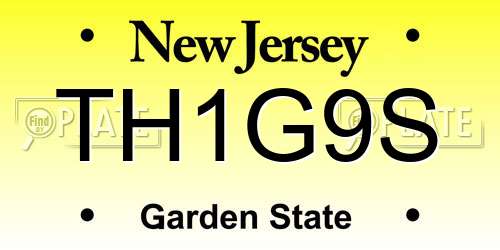 TH1G9S New Jersey License Plate