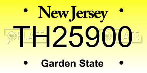 TH25900 New Jersey License Plate