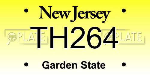 TH264 New Jersey License Plate