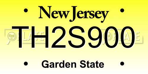 TH2S900 New Jersey License Plate