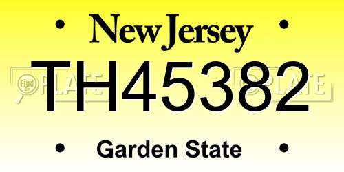 TH45382 New Jersey License Plate