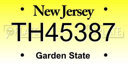 TH45387 New Jersey License Plate