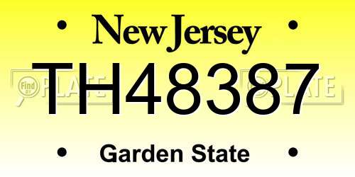 TH48387 New Jersey License Plate
