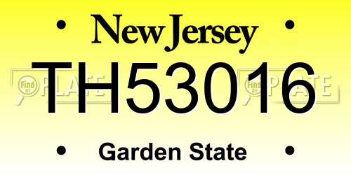 TH53016 New Jersey License Plate