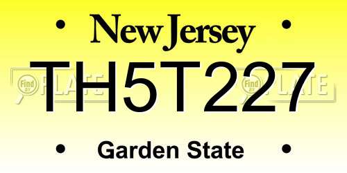 TH5T227 New Jersey License Plate