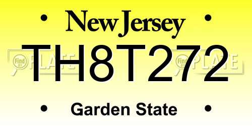 TH8T272 New Jersey License Plate