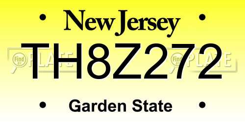TH8Z272 New Jersey License Plate