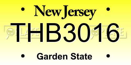 THB3016 New Jersey License Plate
