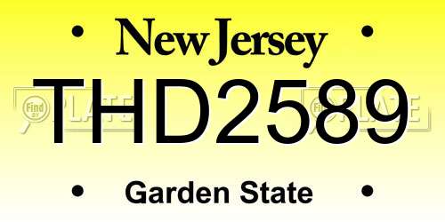THD2589 New Jersey License Plate
