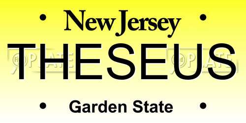 THESEUS New Jersey License Plate
