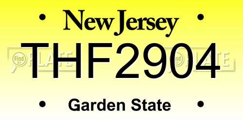 THF2904 New Jersey License Plate