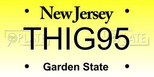 THIG95 New Jersey License Plate