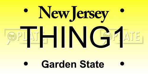 THING1 New Jersey License Plate