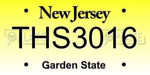 THS3016 New Jersey License Plate