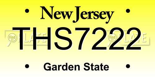 THS7222 New Jersey License Plate