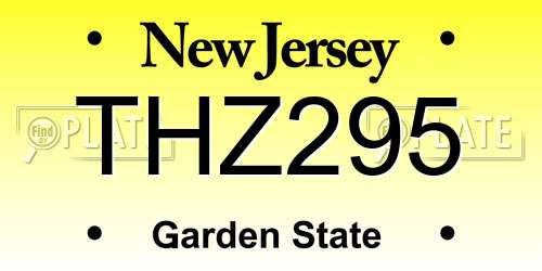 THZ295 New Jersey License Plate