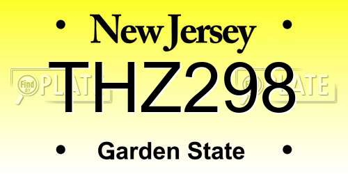 THZ298 New Jersey License Plate