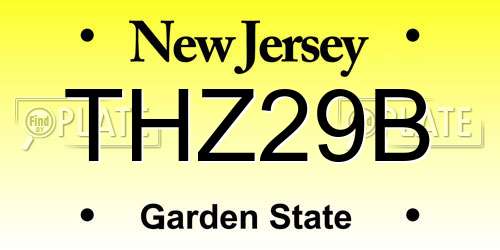 THZ29B New Jersey License Plate