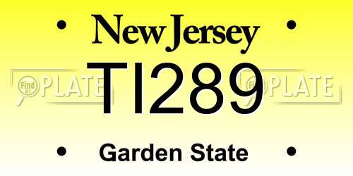 TI289 New Jersey License Plate