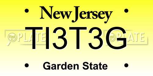 TI3T3G New Jersey License Plate