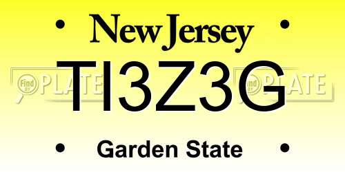 TI3Z3G New Jersey License Plate