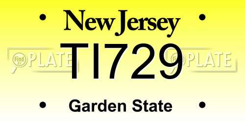 TI729 New Jersey License Plate