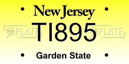 TI895 New Jersey License Plate