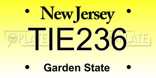 TIE236 New Jersey License Plate
